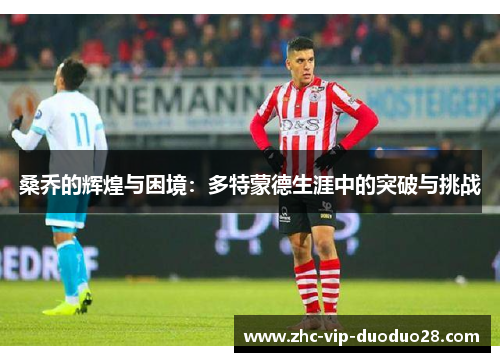 桑乔的辉煌与困境：多特蒙德生涯中的突破与挑战