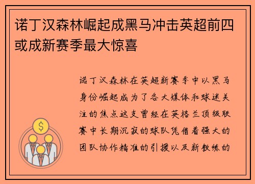 诺丁汉森林崛起成黑马冲击英超前四或成新赛季最大惊喜